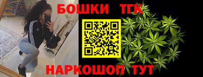 тгк Обь