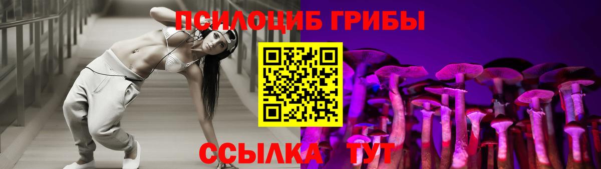 Галлюциногенные грибы Psilocybine cubensis Соль-Илецк